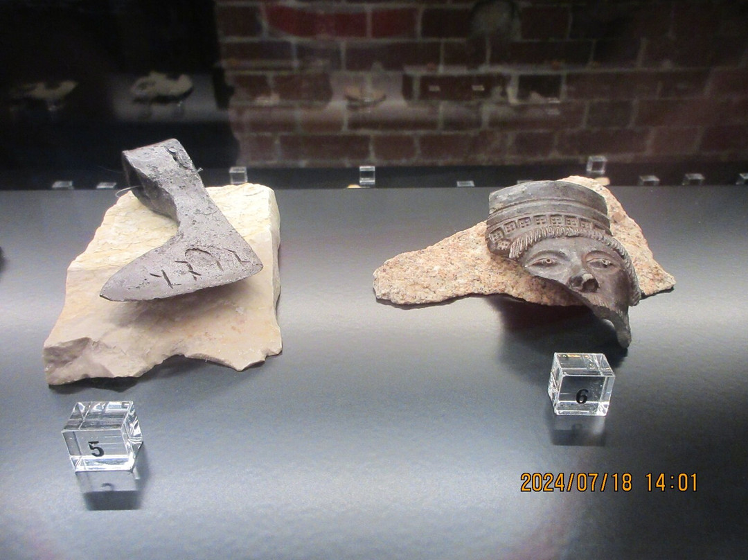 City of Poznan History Museum景点图片