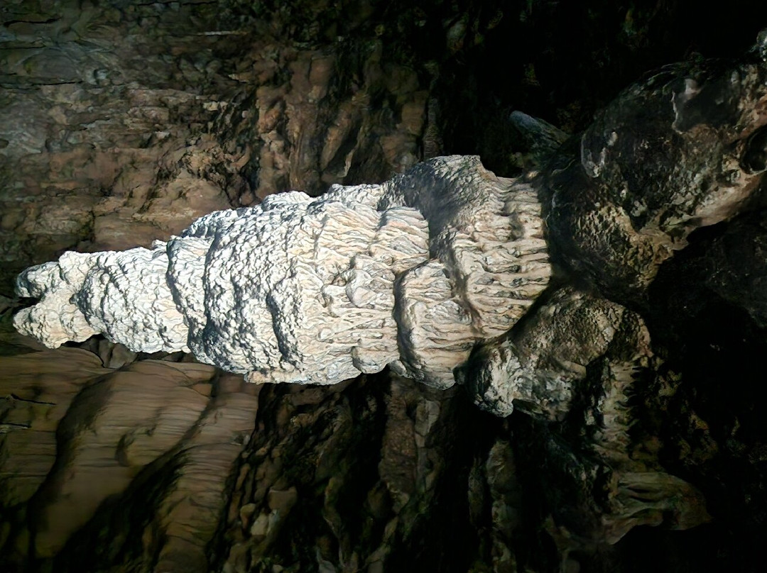 Modrič Cave-Rovanjska必去景点