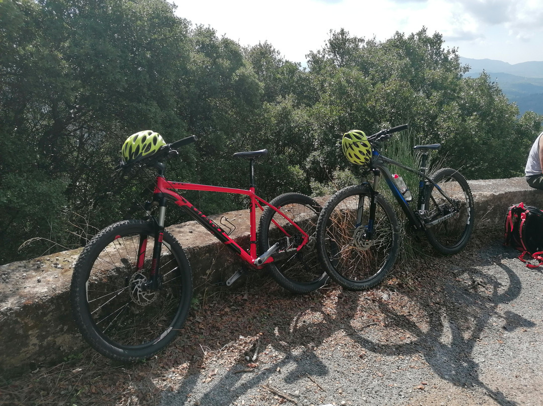 The Corfu Mountainbike Shop-Dassia必去景点