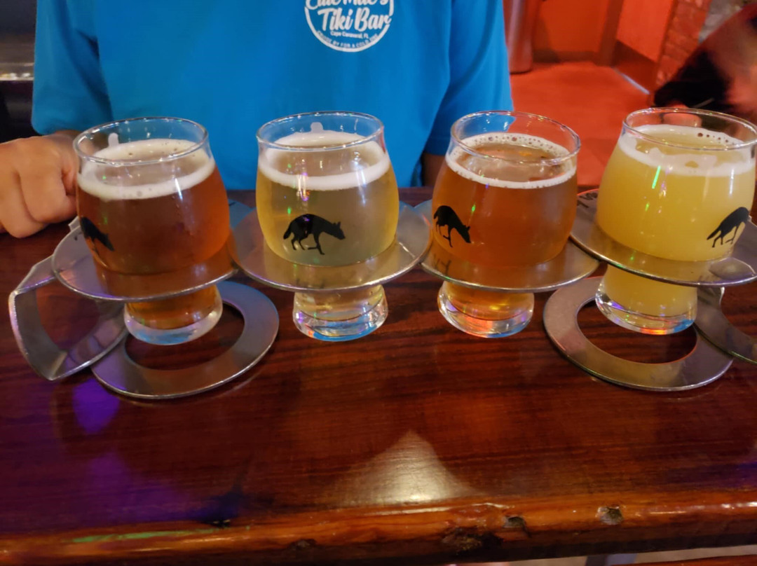 Aardwolf Brewing Company-杰克逊维尔必去景点