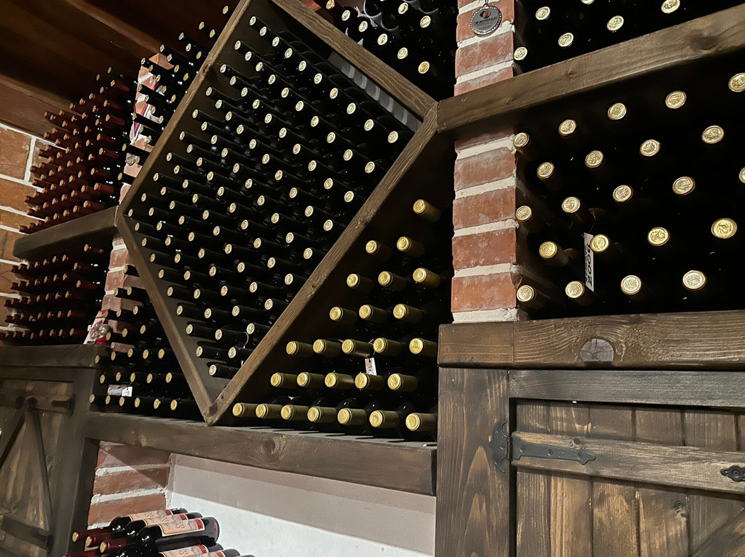 Wine tasting - Winery Masanovic-维尔巴札拉必去景点