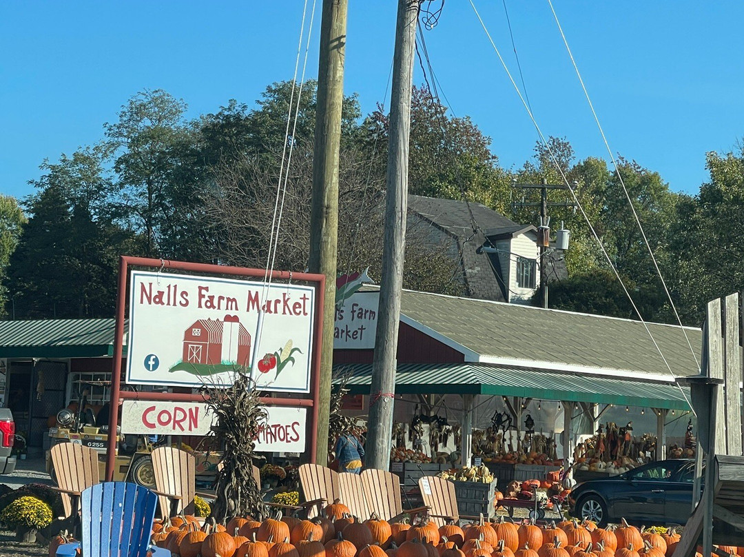 Nalls Farm Market景点图片