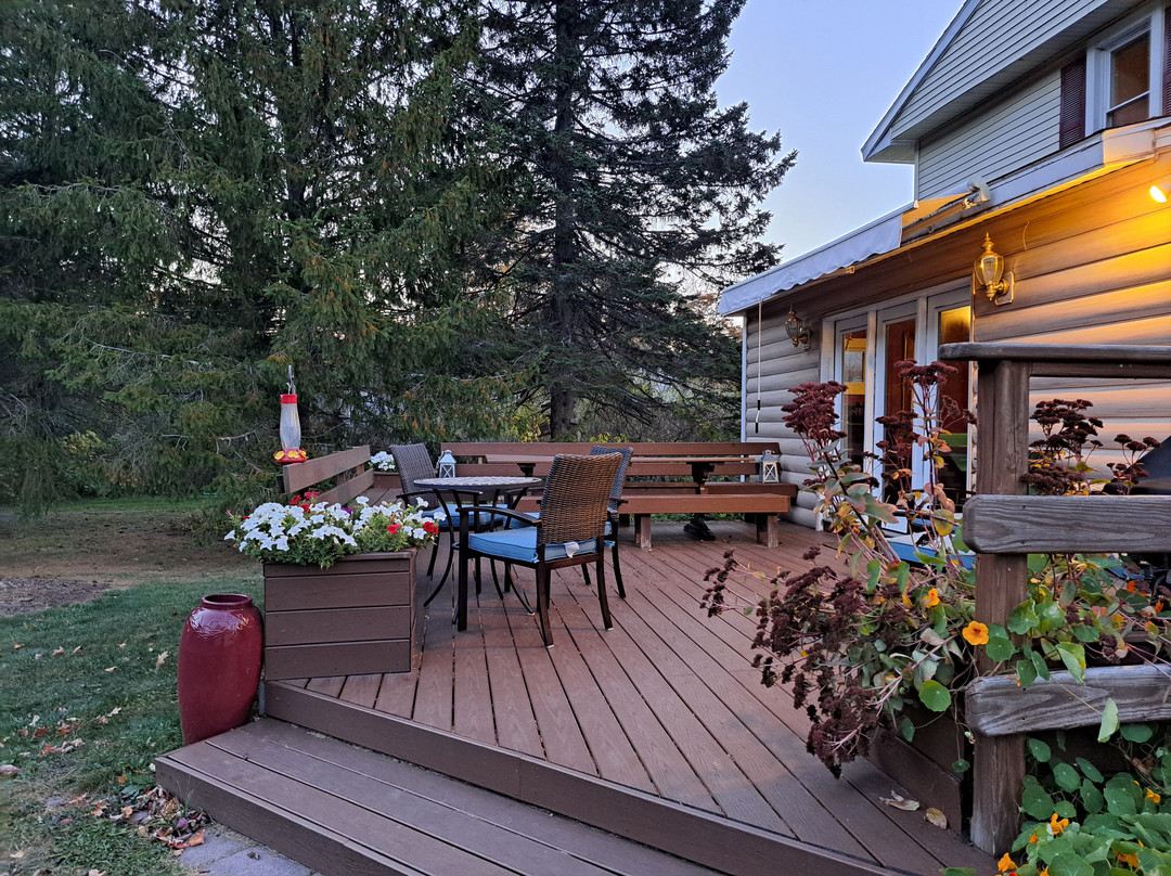 Mountain Treasure主图