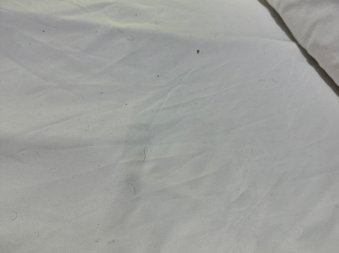 Timberland Inn主图