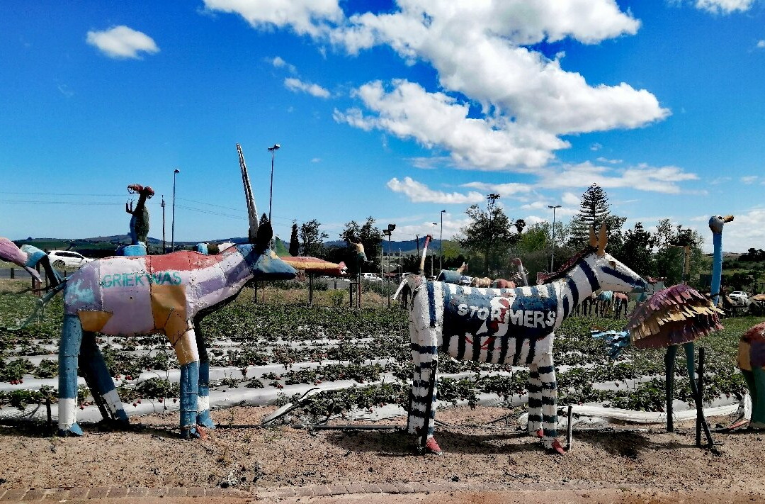 Polkadraai Farm-斯泰伦博斯必去景点