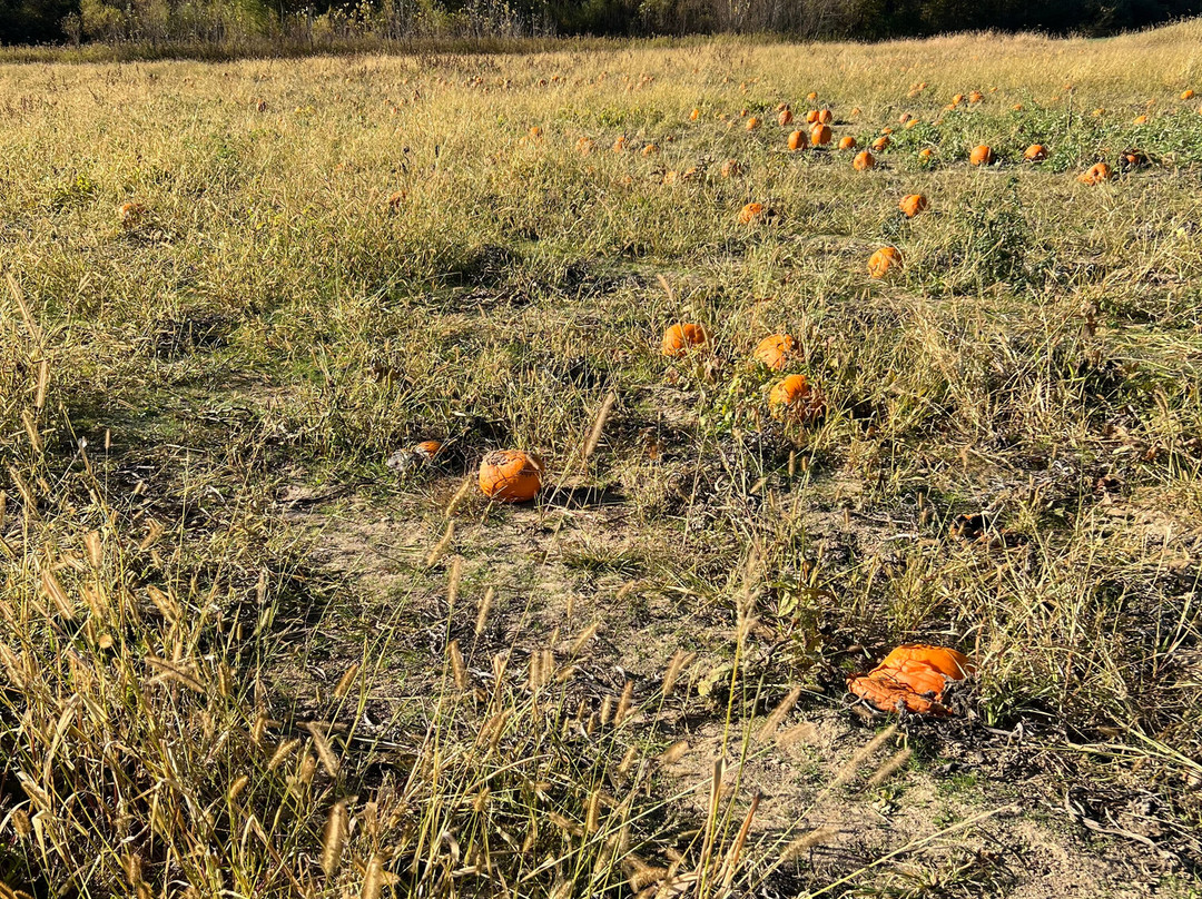 The Apple Works-Trafalgar必去景点