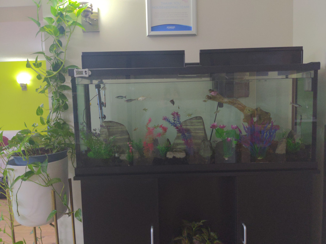 Super 8 by Fort McMurray主图