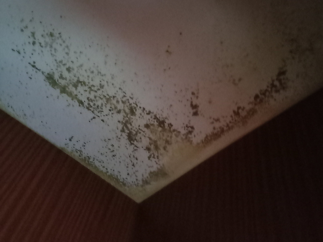 Hostal La Frontera主图