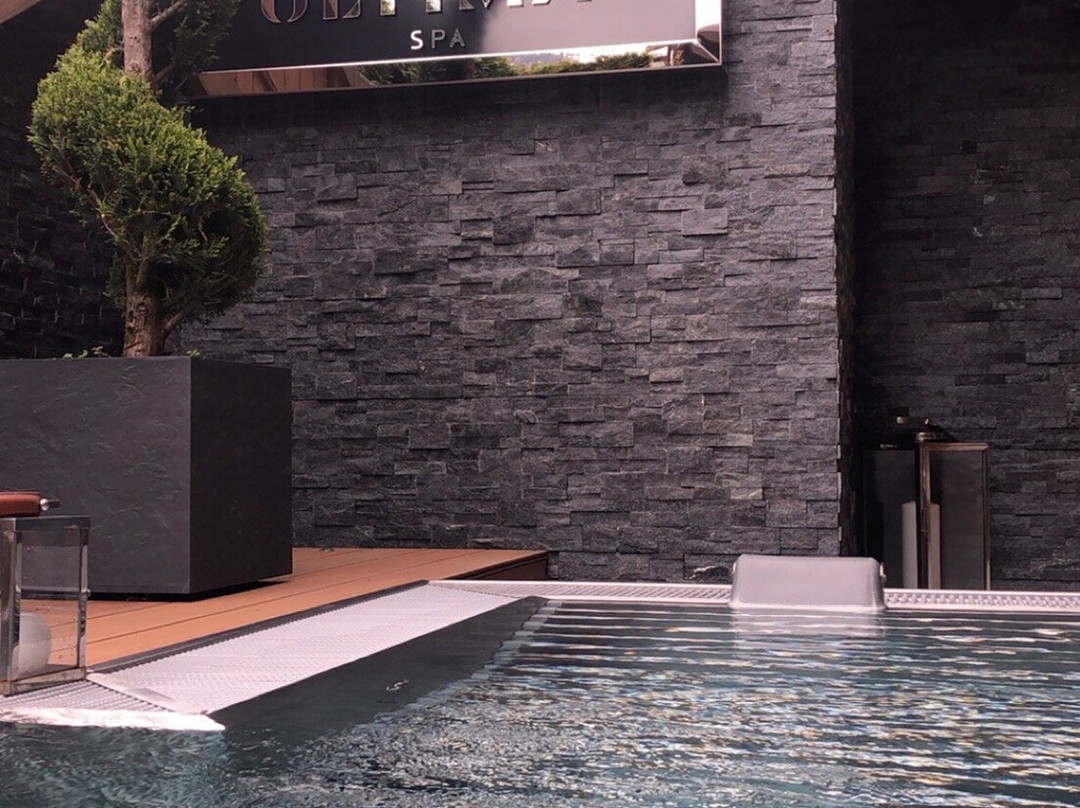 Ultima Hotel Gstaad主图