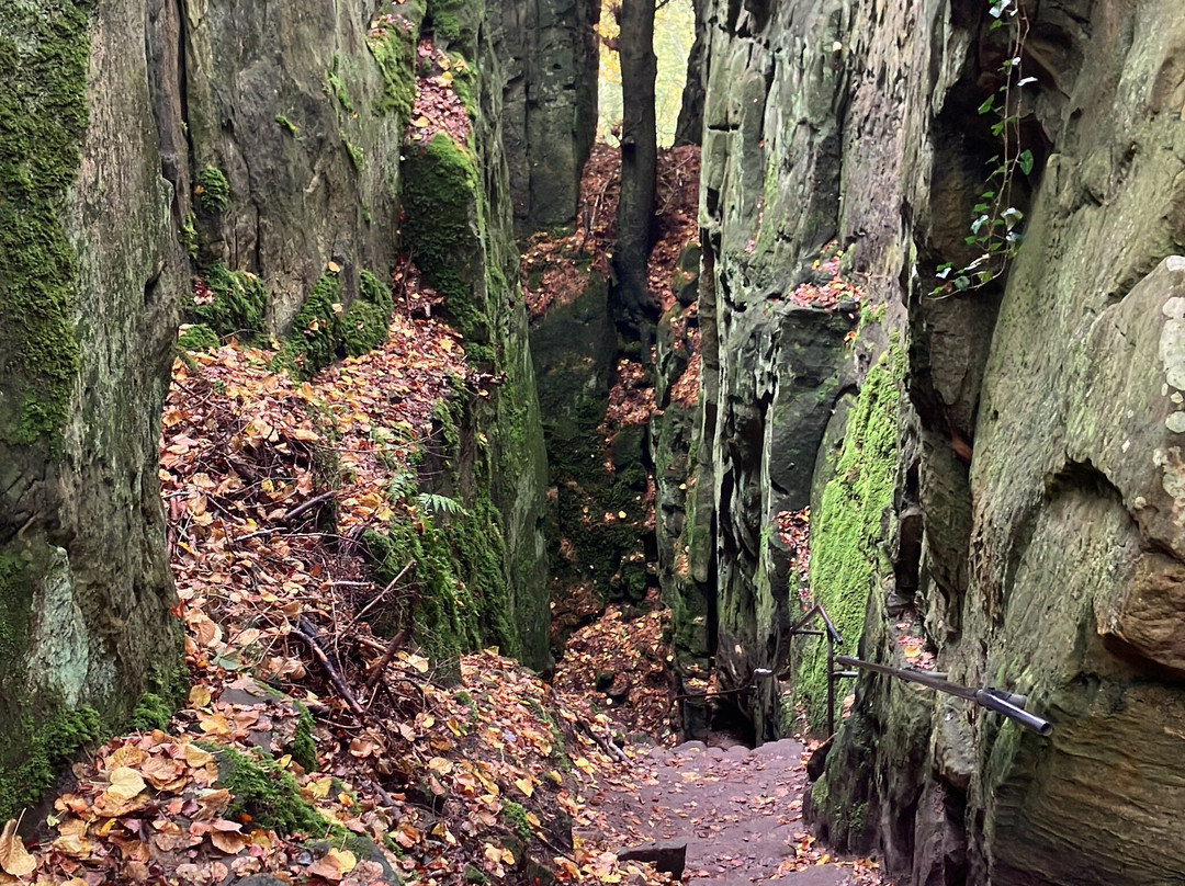 Naturparkzentrum Teufelsschlucht景点图片