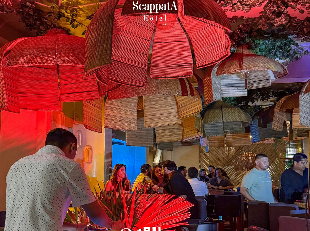 Hotel Scappata主图