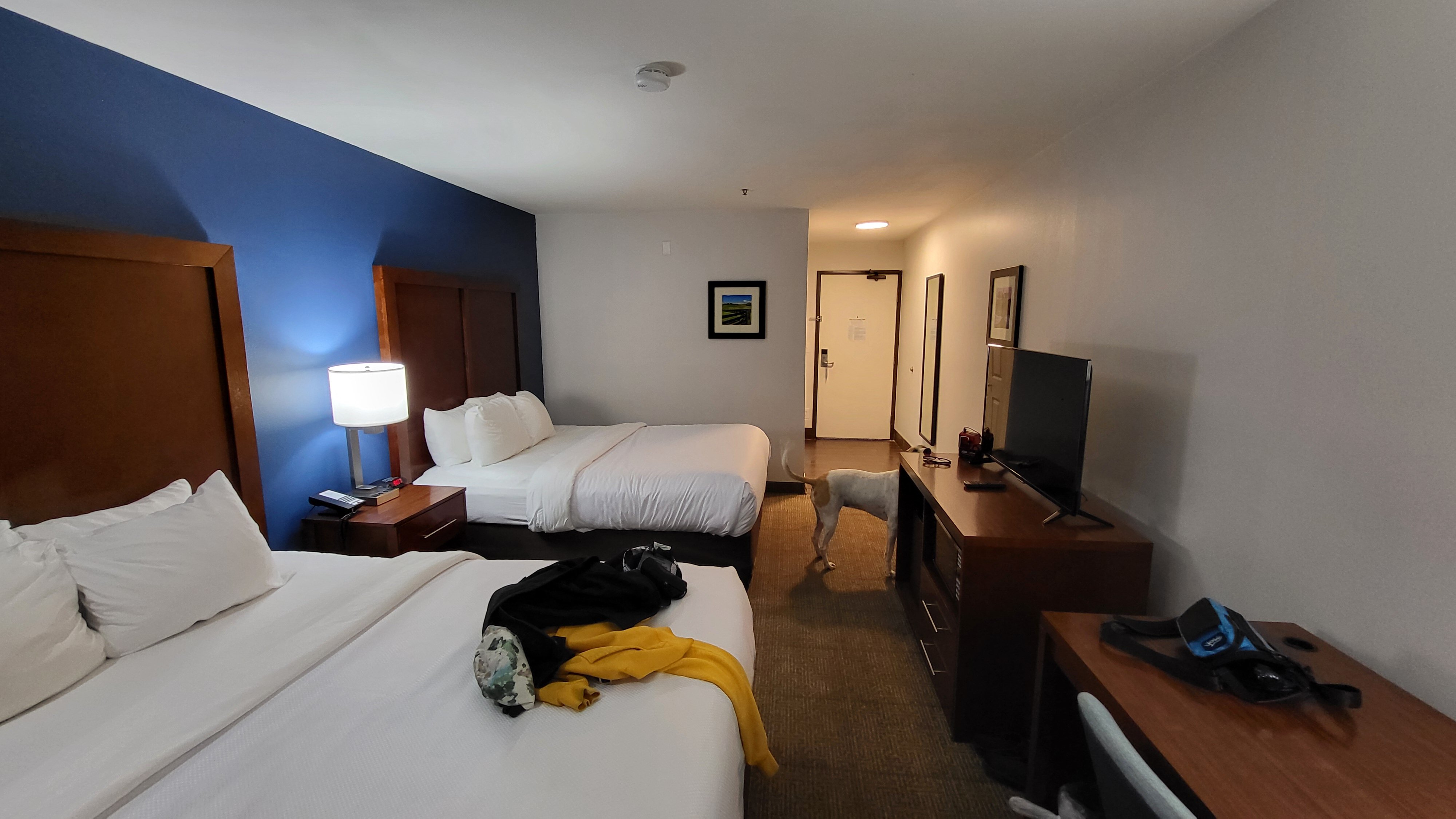 Comfort Inn Somerset-客卧