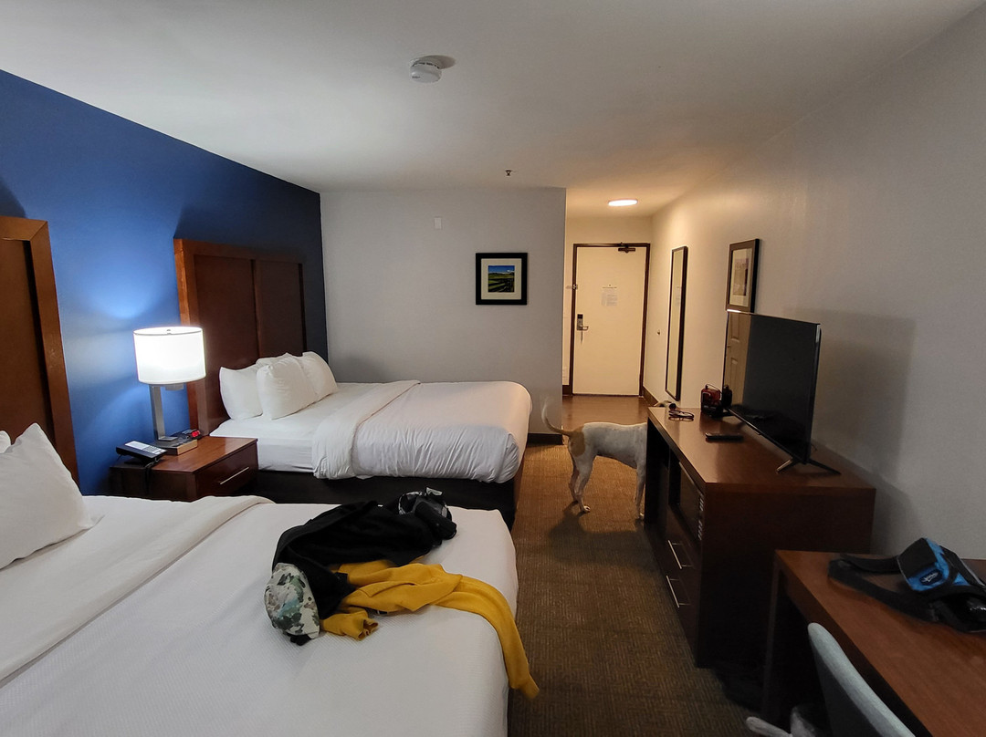 Comfort Inn Somerset主图