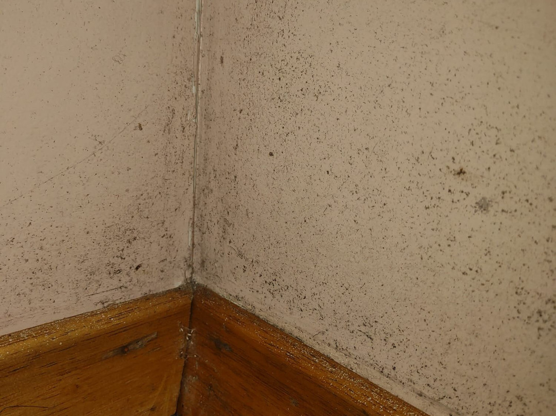 Mindemoya Motel主图