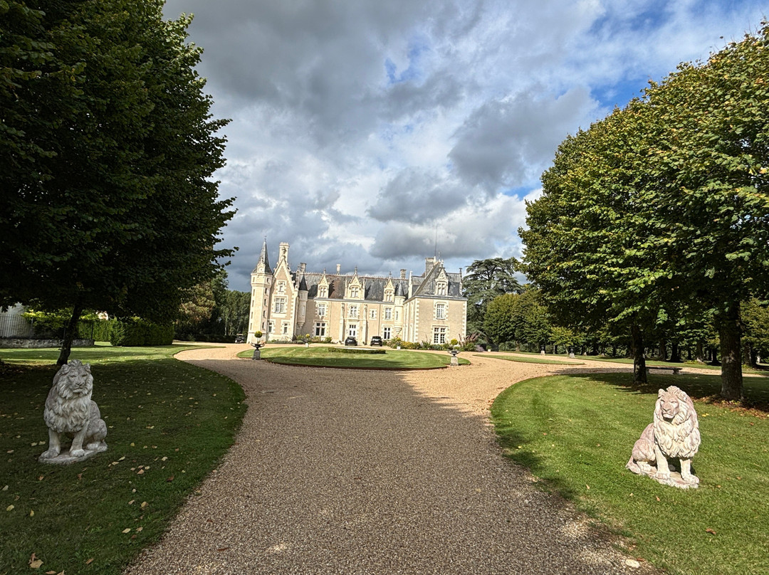 Azay-sur-Cher旅游攻略图片