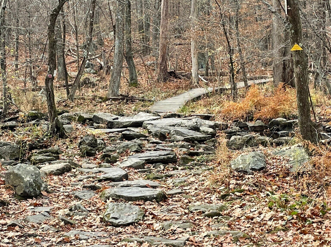 Broad Meadow Brook Conservation Center & Wildlife Sanctuary-伍斯特必去景点