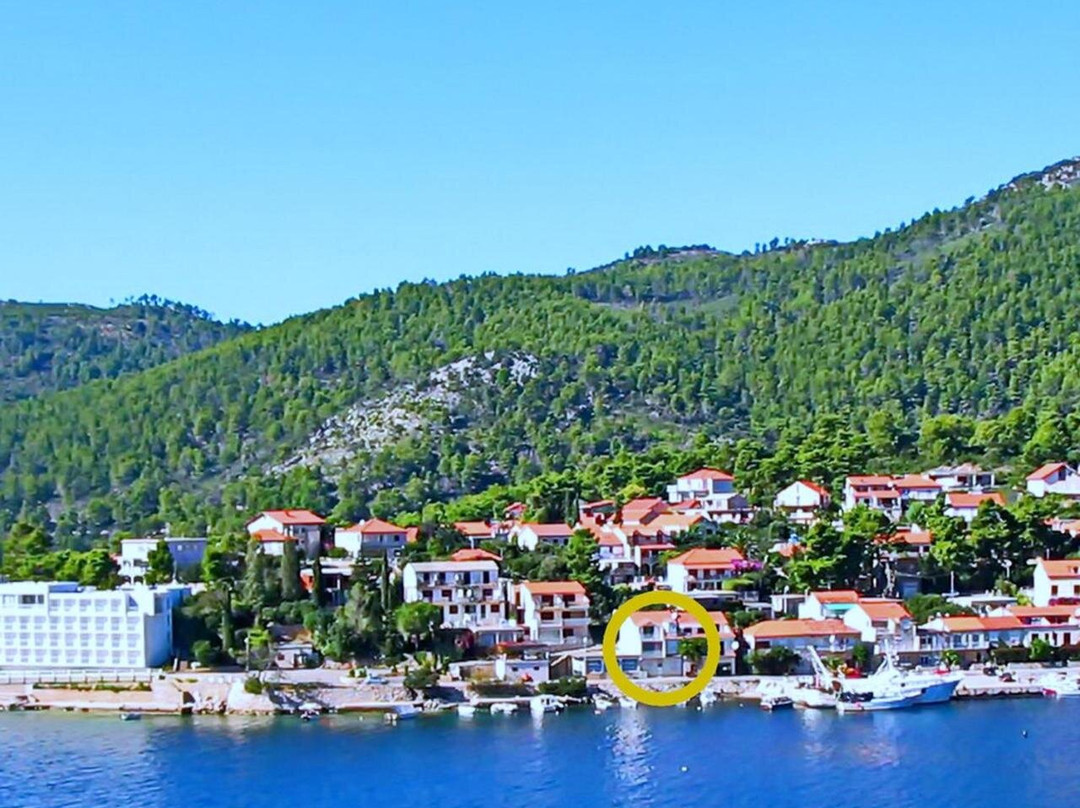 Apartments Tomasic