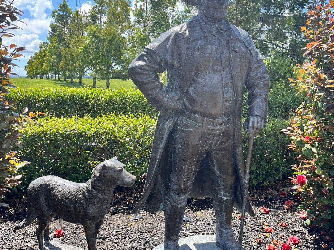 Zealong Tea Estate-汉密尔顿必去景点