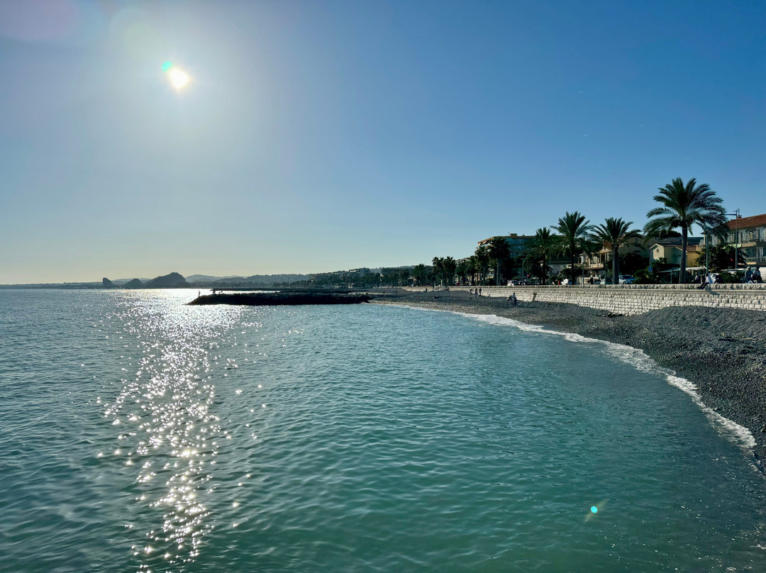 French Riviera Guides-尼斯必去景点