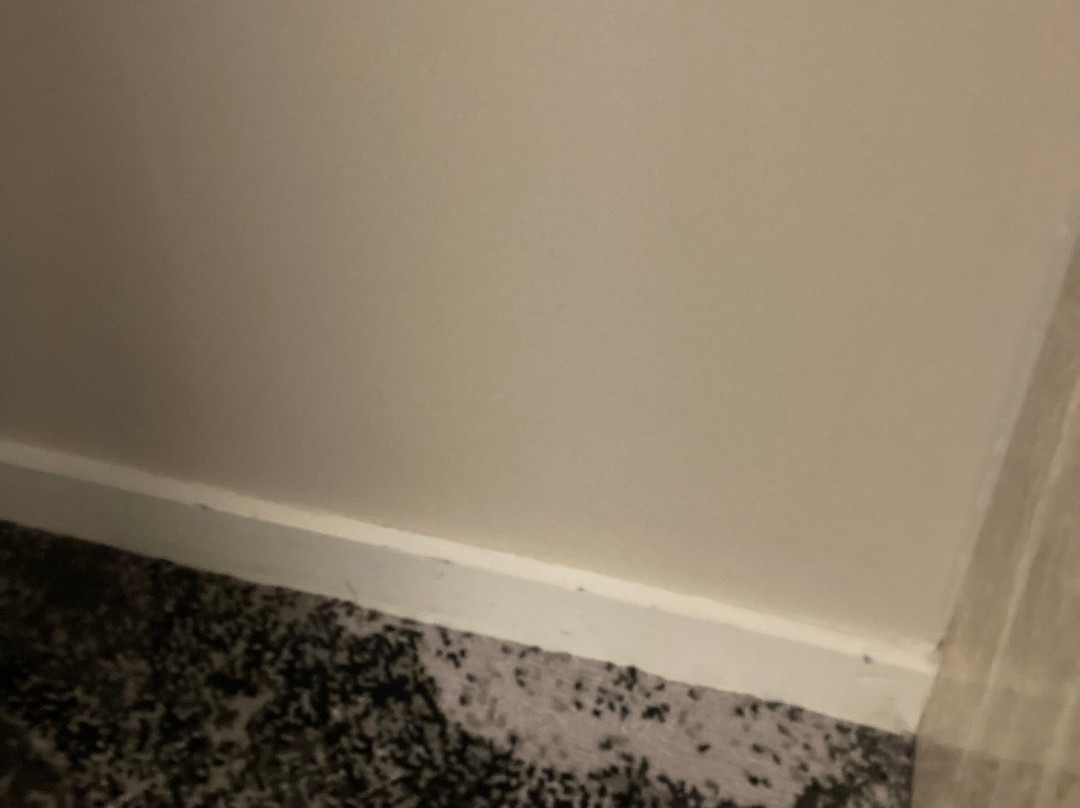 诺富特酒店卧龙岗北岸主图