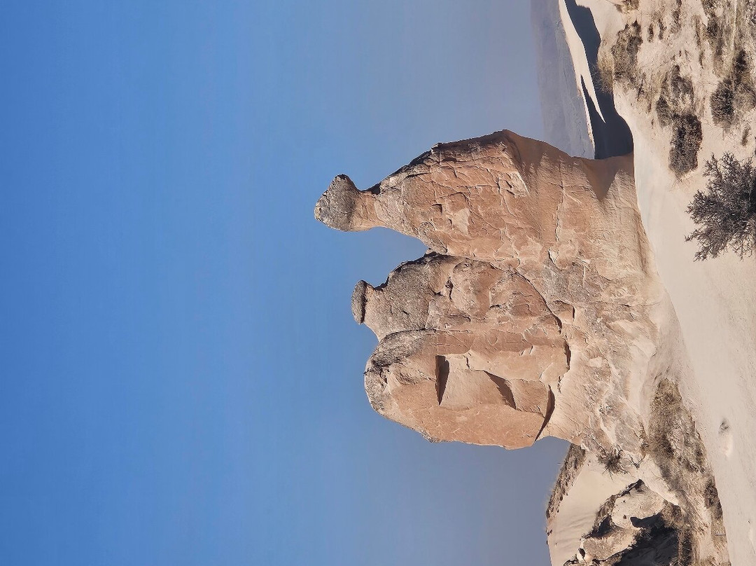 Phoenix Travel Group Colombia-波哥大必去景点