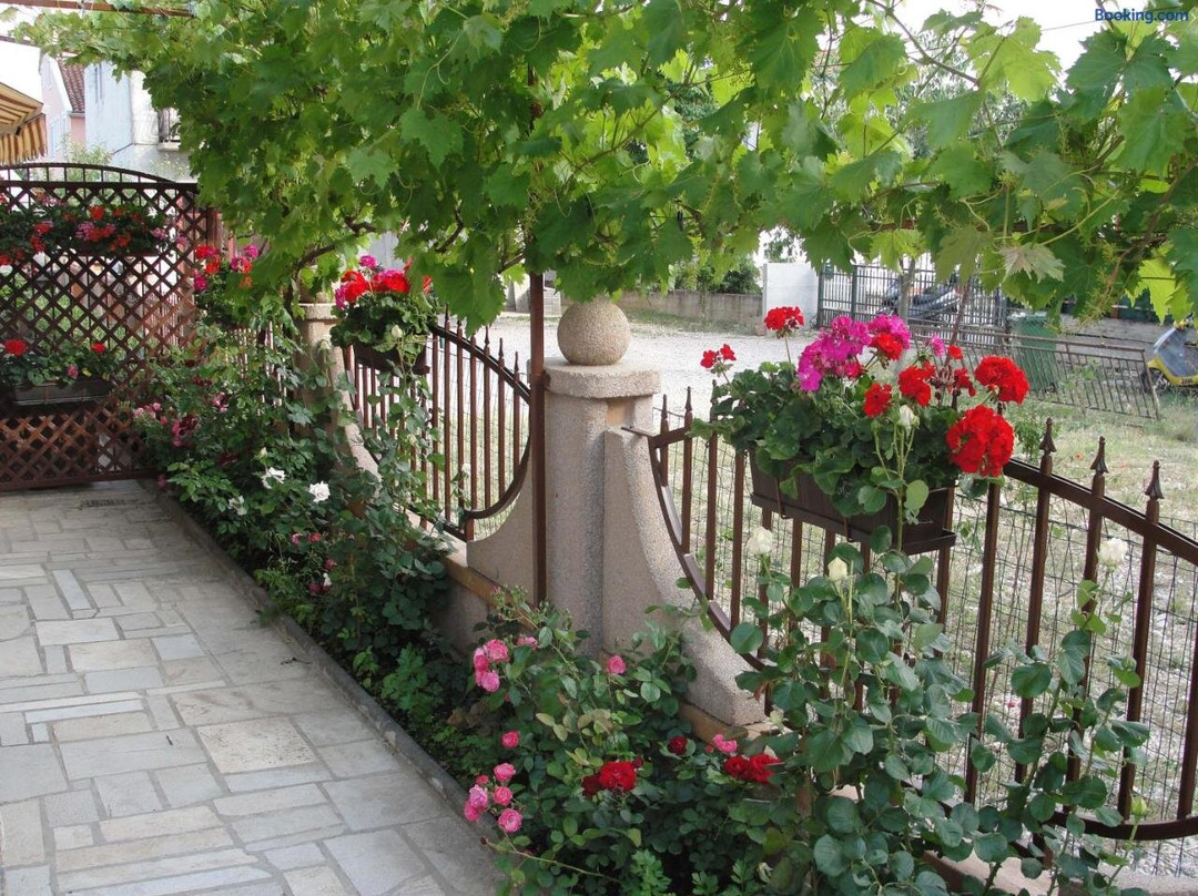 Apartments Lalic
