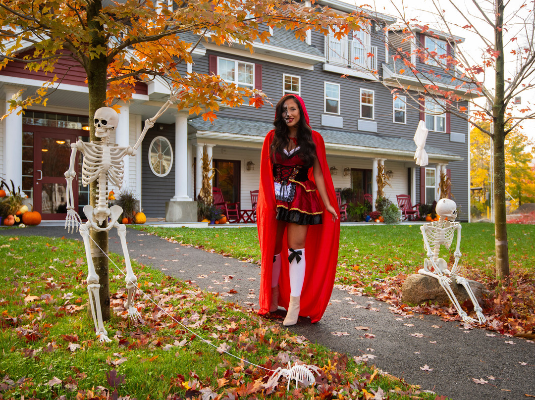 The Inn on Mount Desert主图