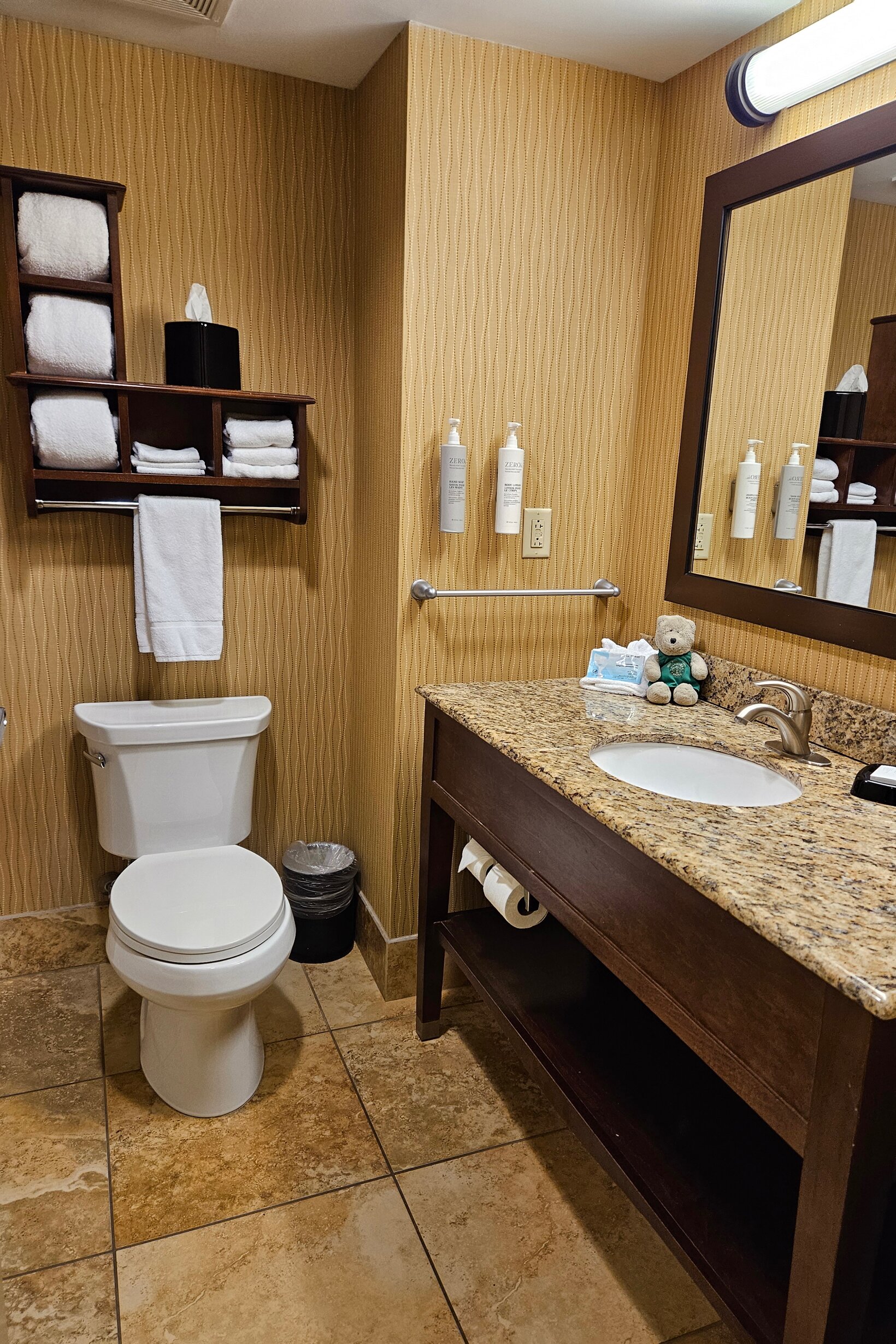 Hampton Inn Brockport-浴室