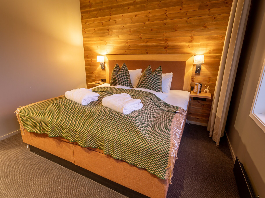 Skarsnuten Mountain Resort & Spa主图
