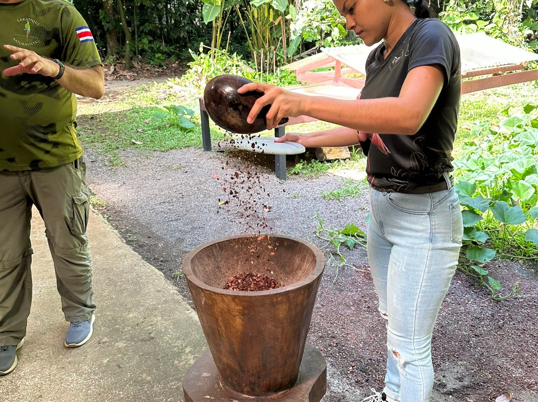 Costa Rica Best Chocolate景点图片