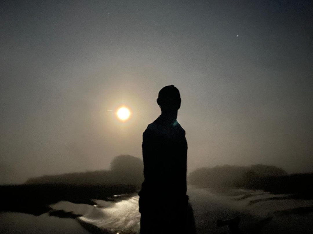 Ecolodge Flottant - Marais de Kaw-Regina必去景点