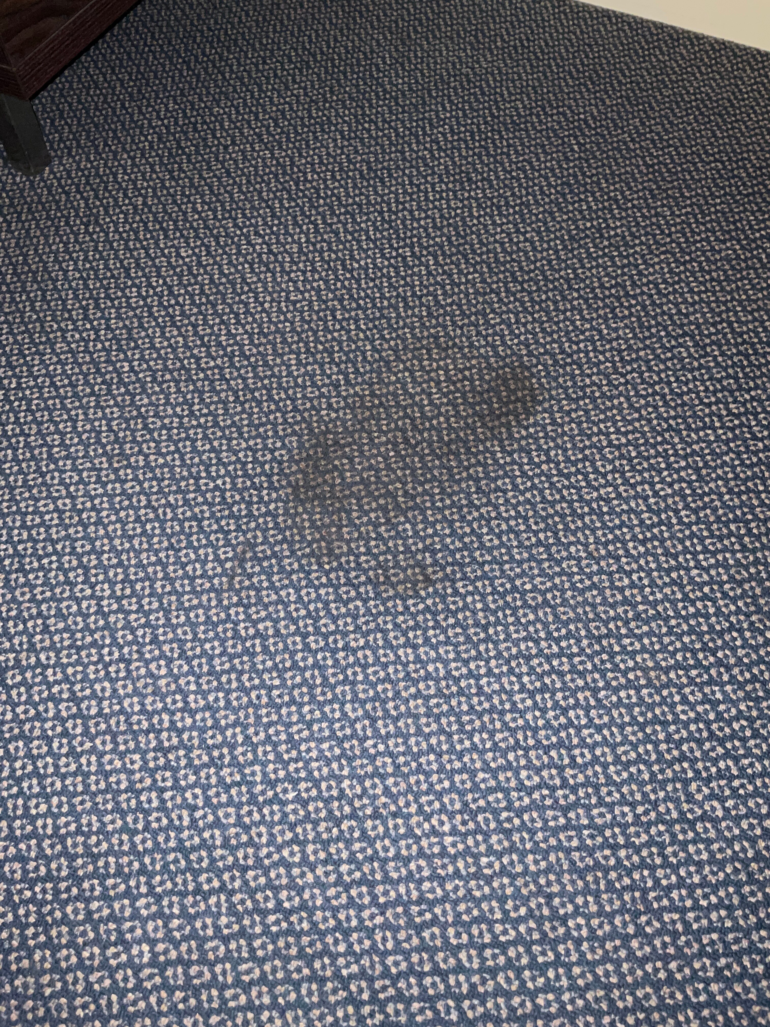 山楂花园服务式公寓酒店-官方