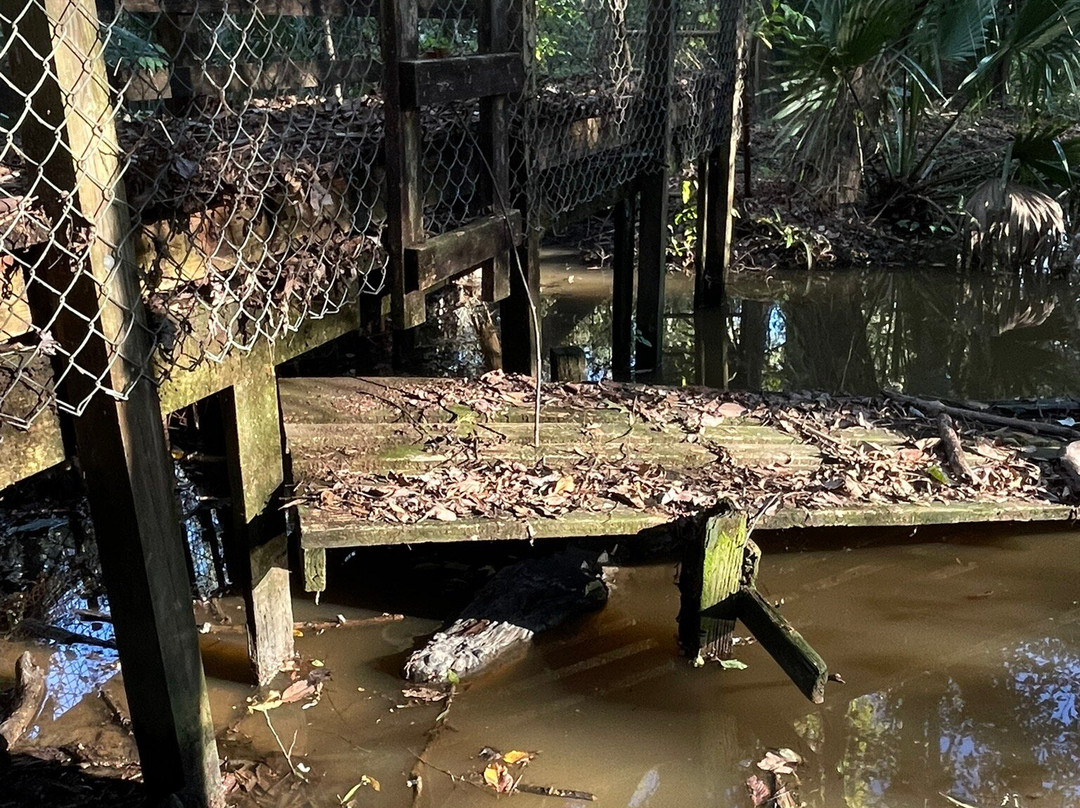 Wildlife Gardens Bed and Breakfast and Swamp Tours主图