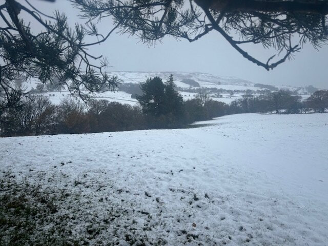 The Priory Guesthouse主图