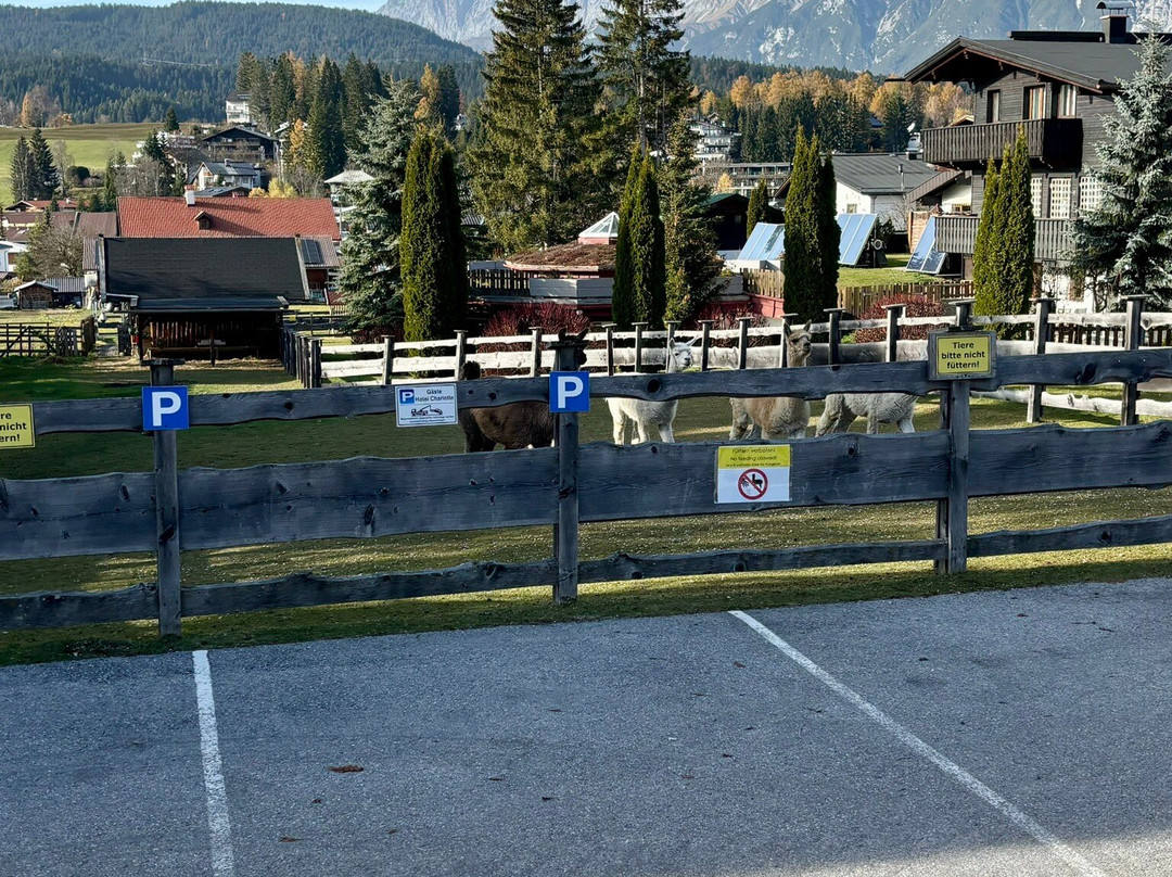 Fiaker Kutschenfahrten Enver Kastrati景点图片