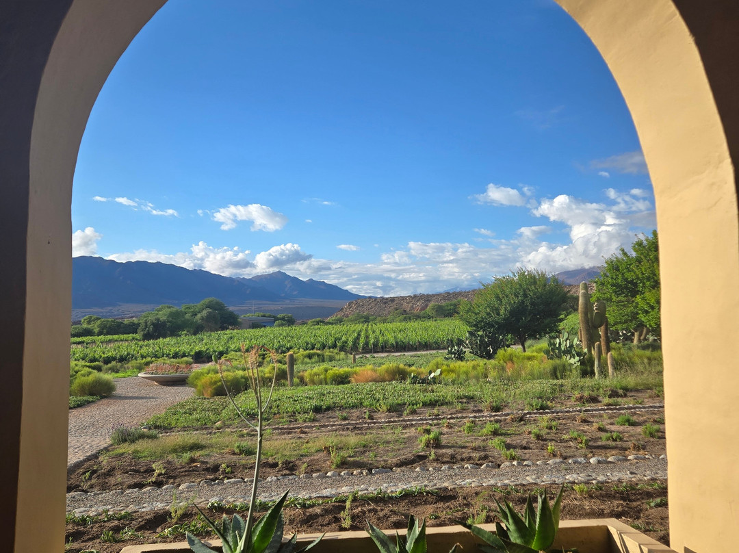 Experiencia Colomé-Molinos必去景点