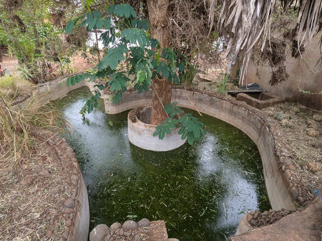 CaveJesus Park-Himo必去景点