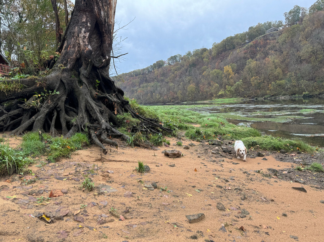 Copper John's Resort主图