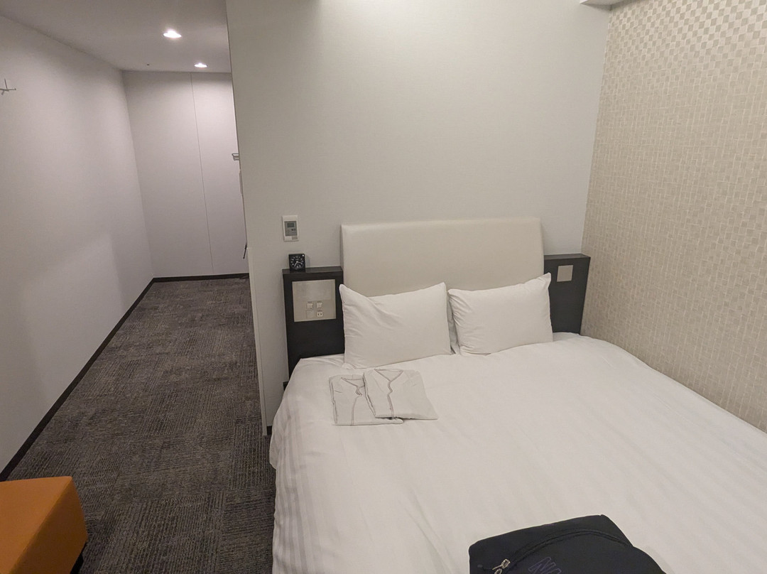 川崎戴哇鲁内酒店主图