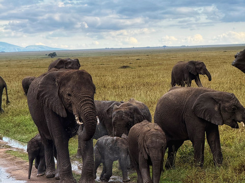 Inspire Tanzania Safaris-阿鲁沙必去景点