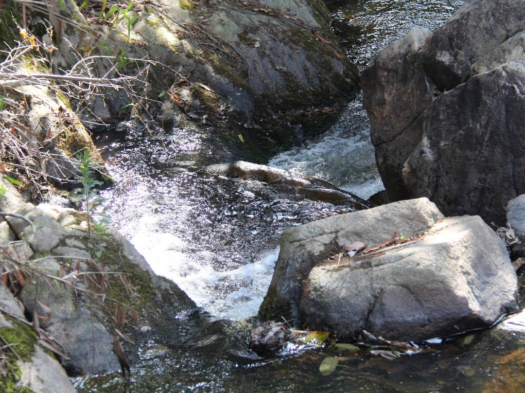 Cachoeira do Tabuao-Ouro Fino必去景点