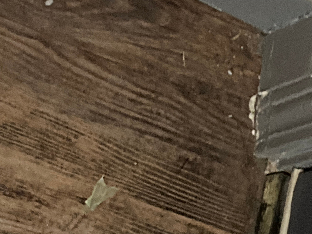 Woodridge Inn and Suites主图