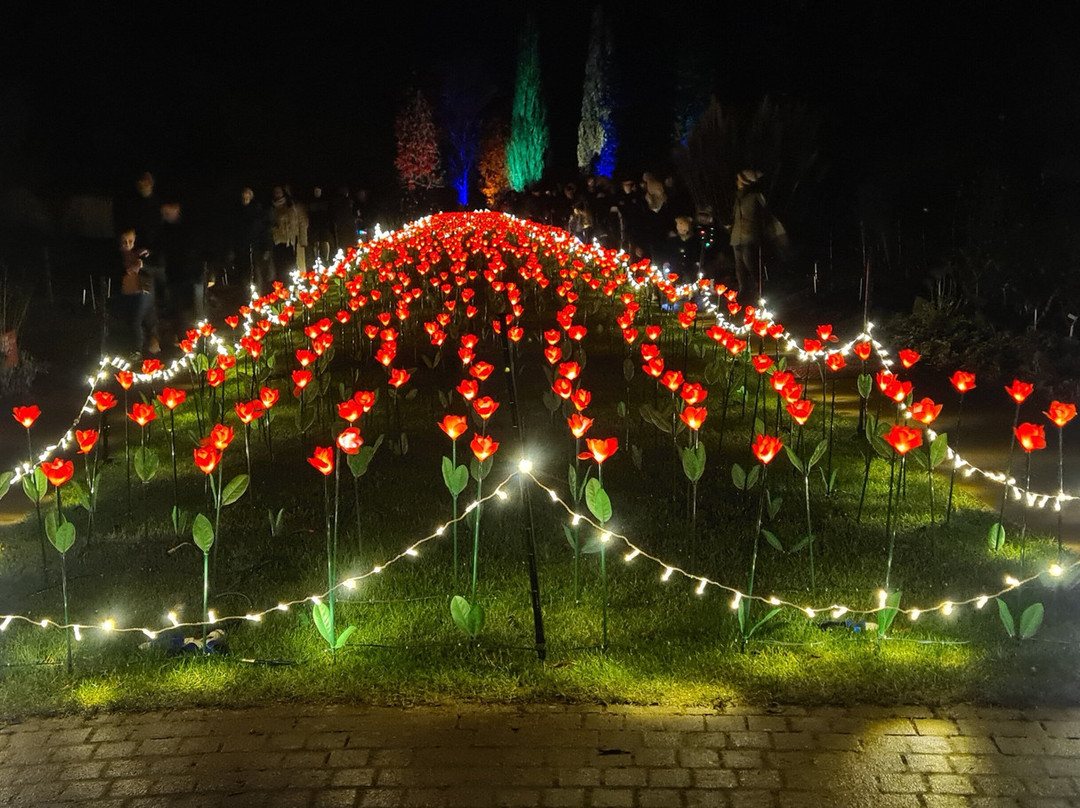 Light Up Trails景点图片