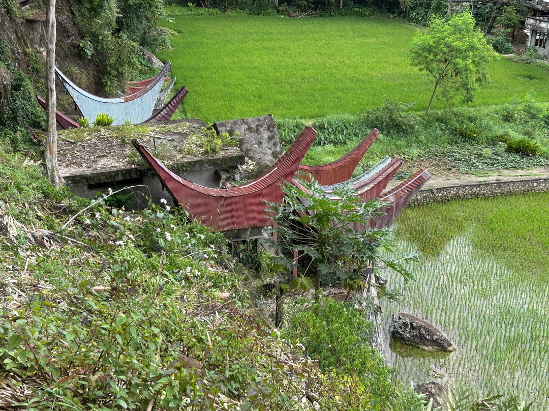 Toraja Tour Guide景点图片