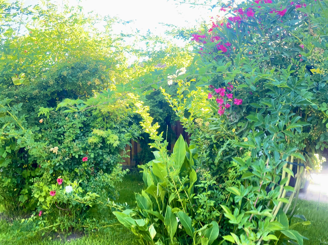 Hotel Vendimia Parador主图