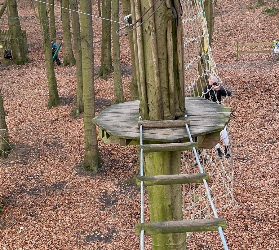 Go Ape Rivington-博尔顿必去景点