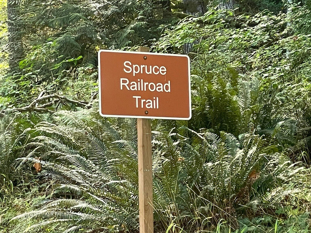 Spruce Railroad Trail景点图片
