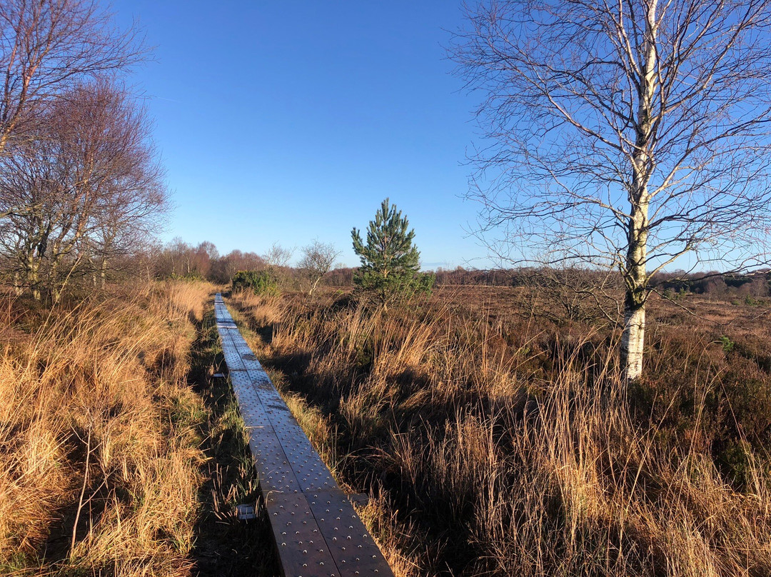 Girley Bog Eco Walk-凯尔斯镇必去景点
