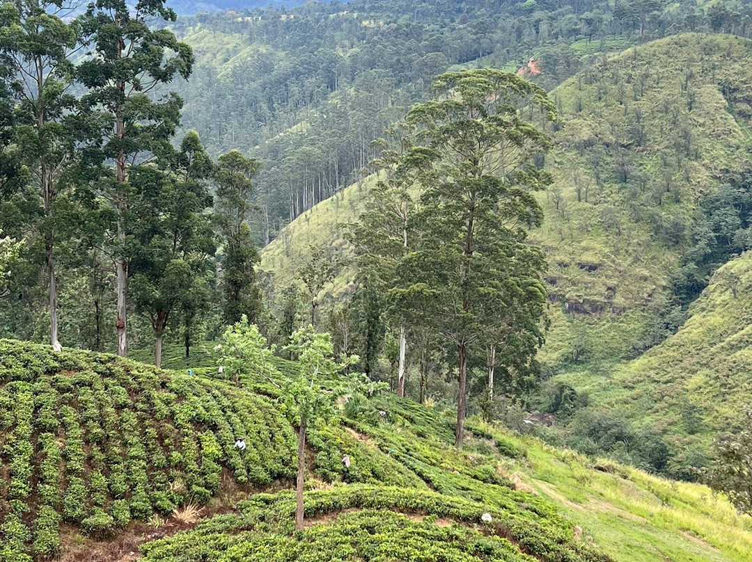 Green Island Tours-拜蒂克洛必去景点