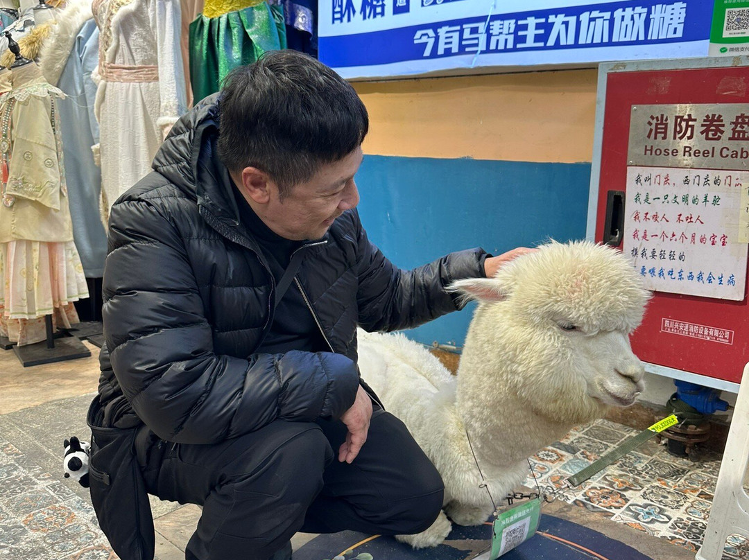 都江堰市步行街-都江堰市必去景点
